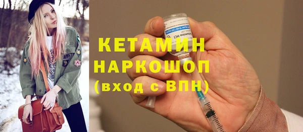 сатива Ростов