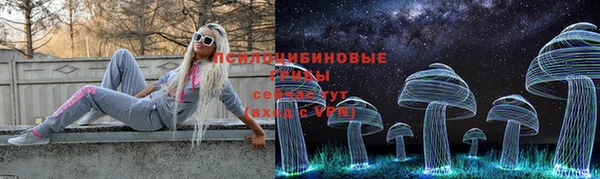 мяу мяу мука Алзамай
